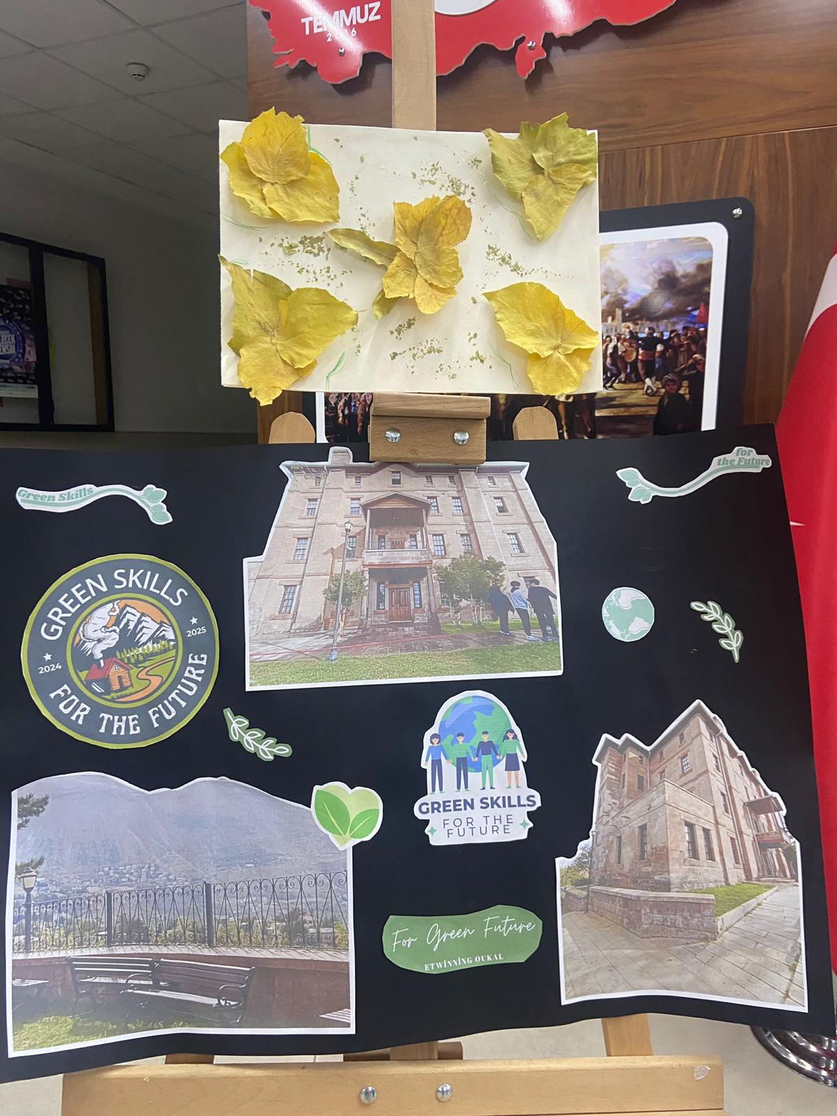 Uluslararası İşbirliği