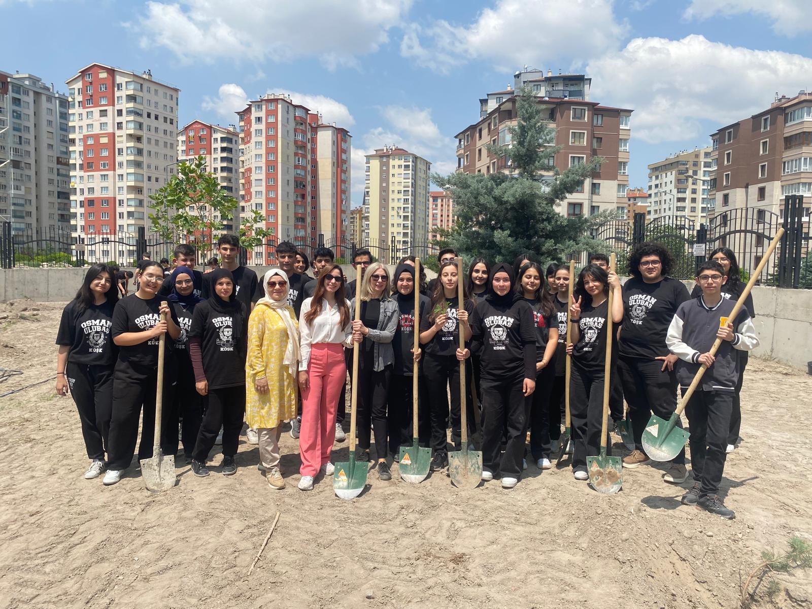 Fidan Dikimi Devamı