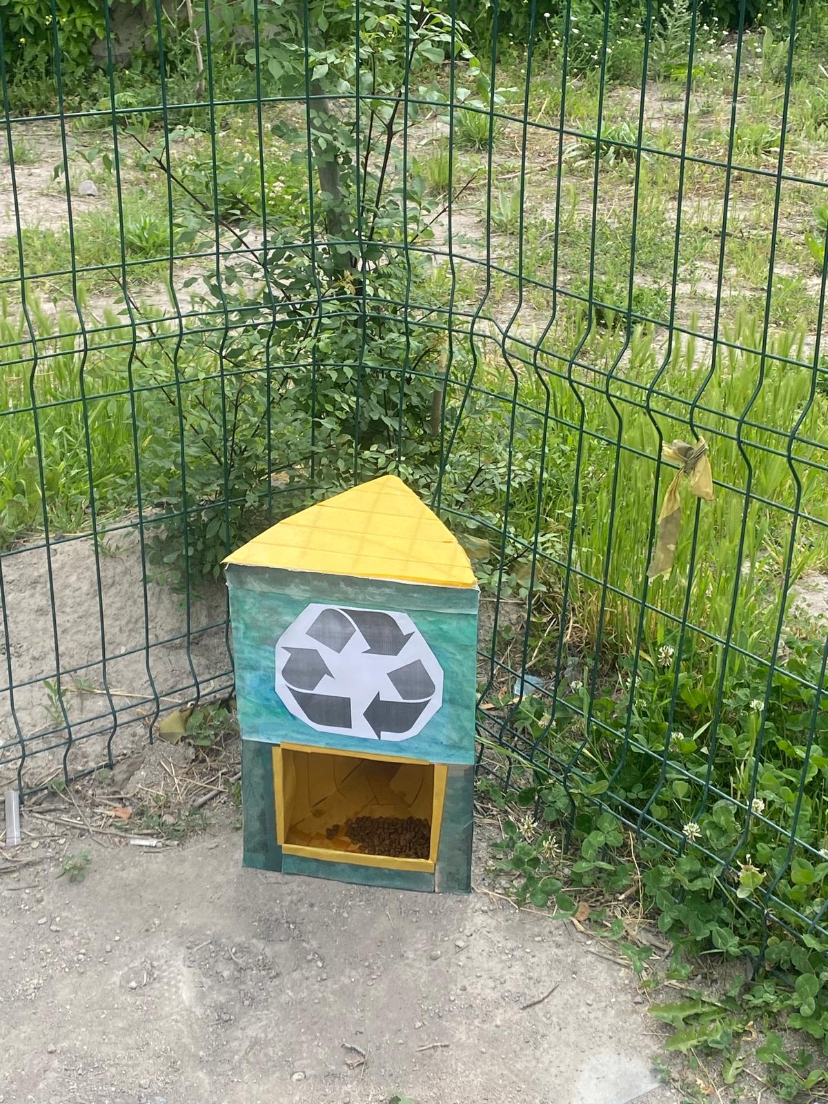 Kedi Mamalığı Yapımı Devamı